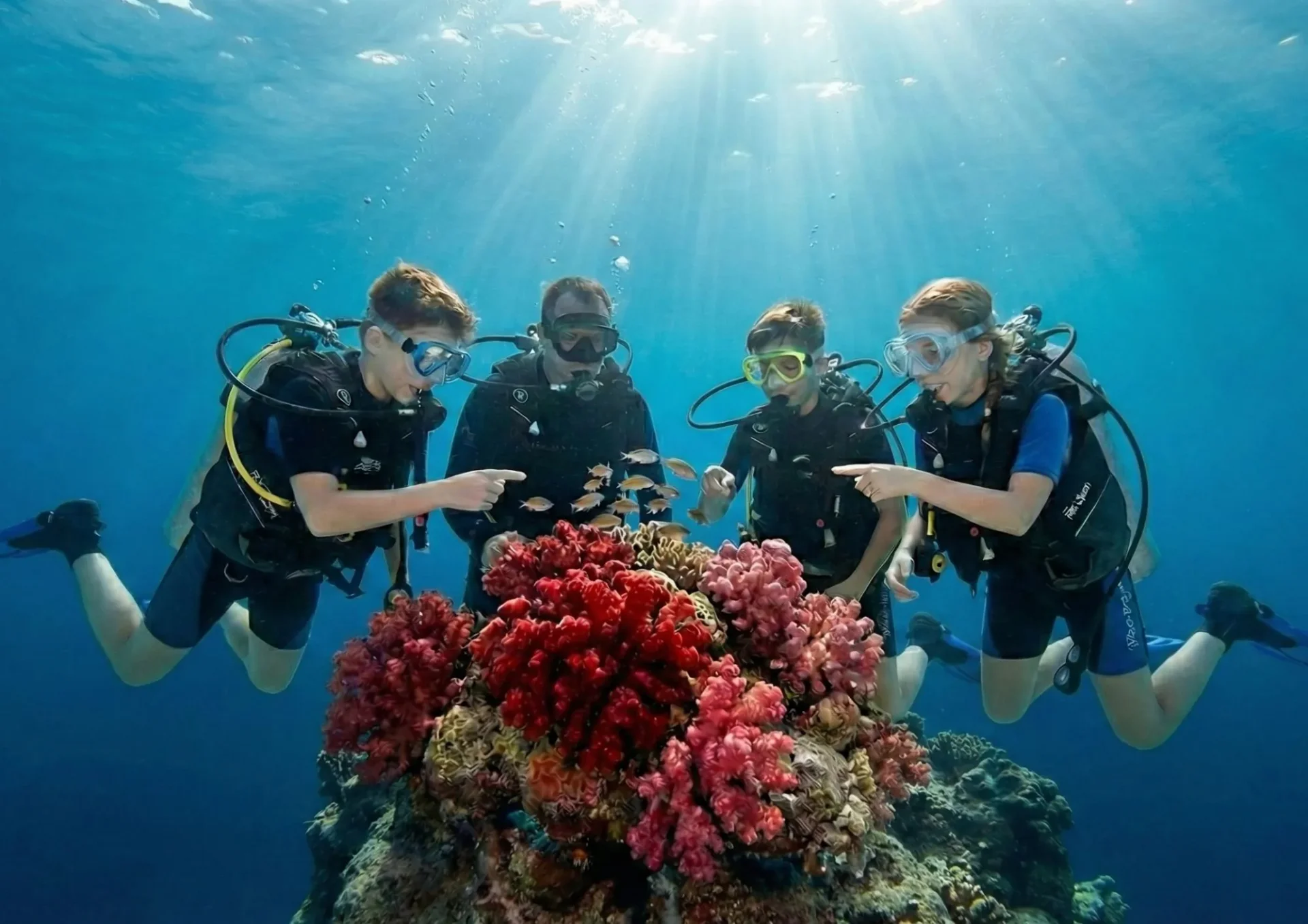 taurus-dive-diving_travel